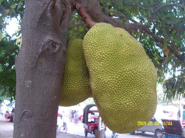 Image:15336 200905041854351HREH.thumb.jpg